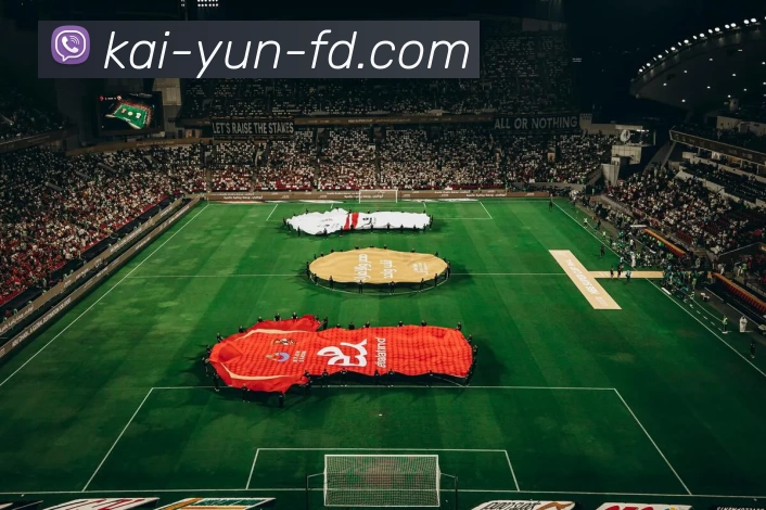 开云平台生态图